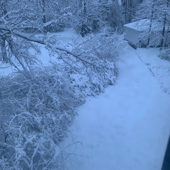 Meet your Posher, Christopher - Picture 1 of 1